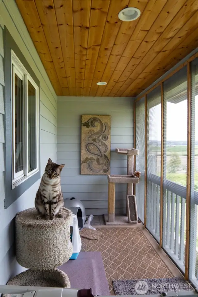 Your furry roommates will love living here!