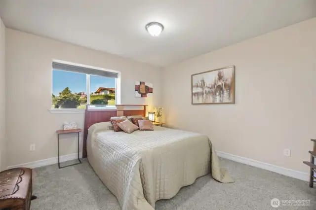 Bedroom 2 on lower level with walk-in closet