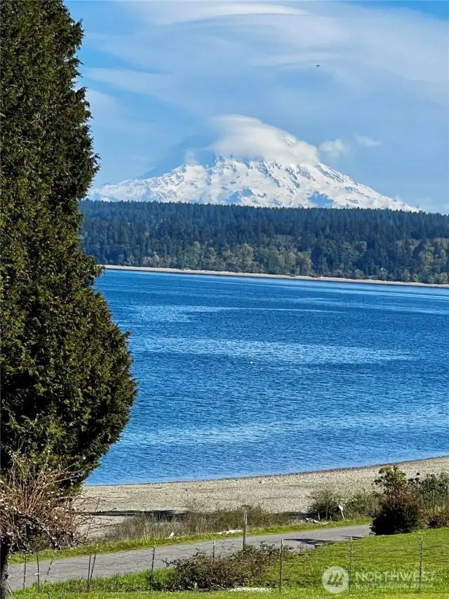 View from the living room when the mountain is out!