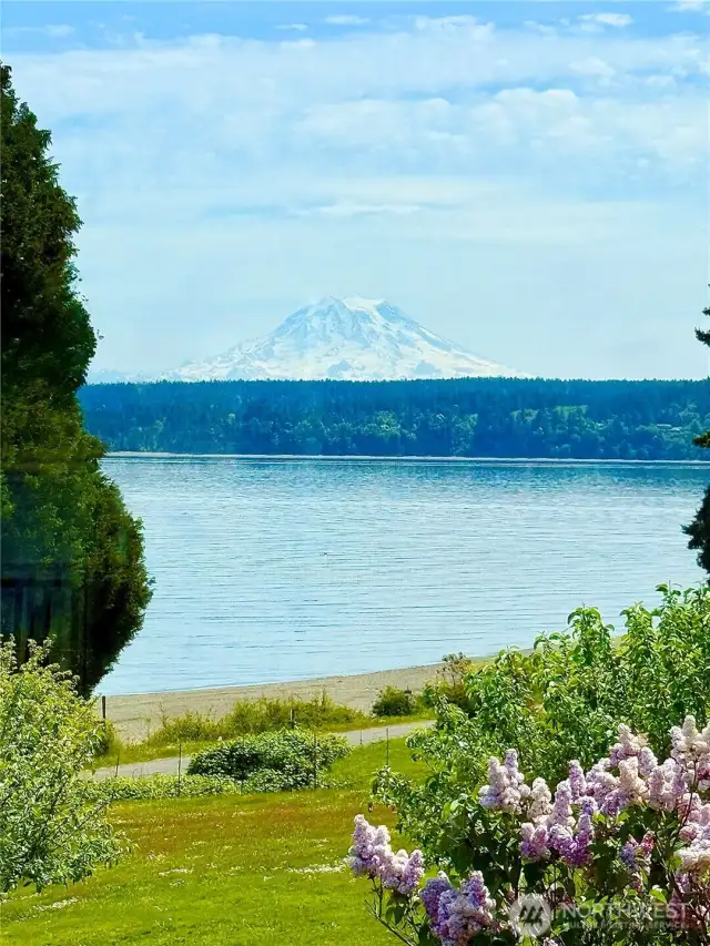 View from the sink when the mountain is out!