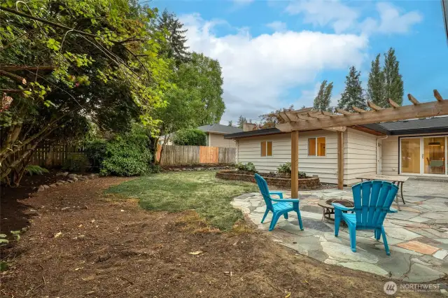 Back yard