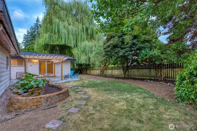 Back yard