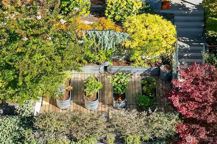 Looking down at the veggie garden from the deck off of the living room.
