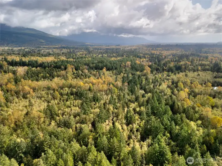 Additional ariel view of 38.68 forested acres