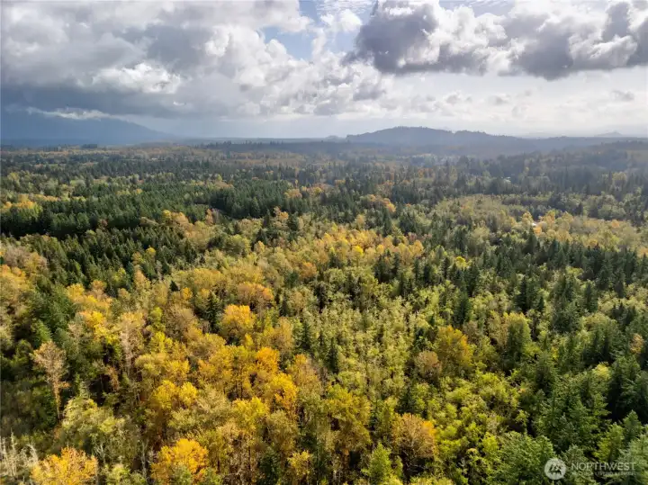 Additional ariel view of 38.68 forested acres