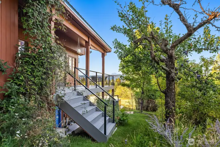 New deck stairs allows easy kitchen to garden access.