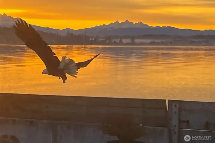 Sunrise views to get used to