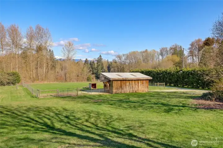 Open Dry Pastures w/ Cross Fencing and Trails~