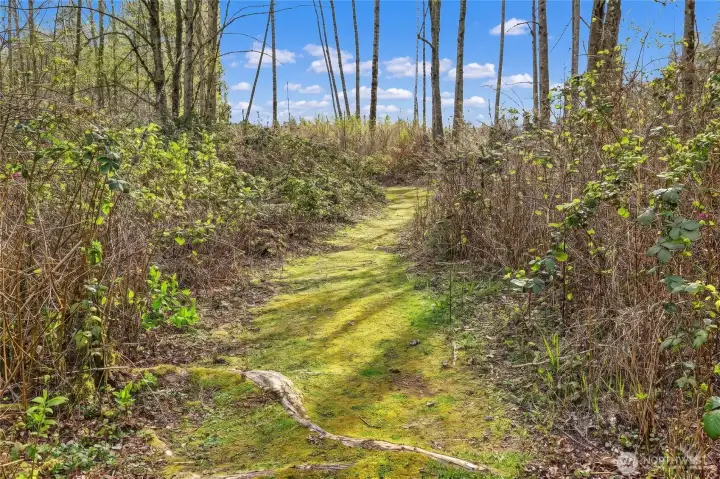 Winding Established Trails to back portion of 7.2 Acres~