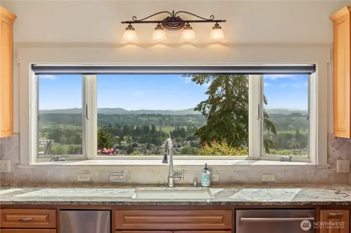 The view from the kitchen sink.