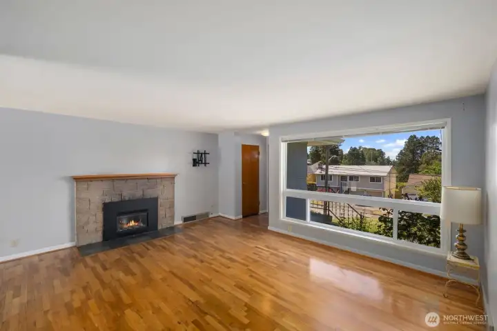 Gas Insert with Mantel