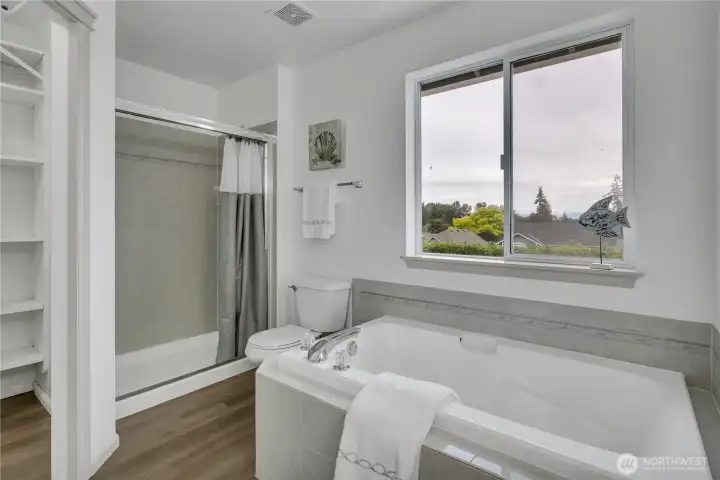 Nice big bathtub & walk-in shower