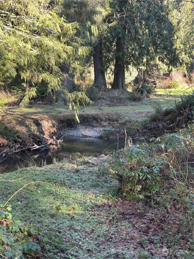 Looking up creek.