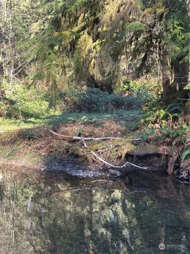 Property extends beyond the creek bed. Stake is in the center of the photo.