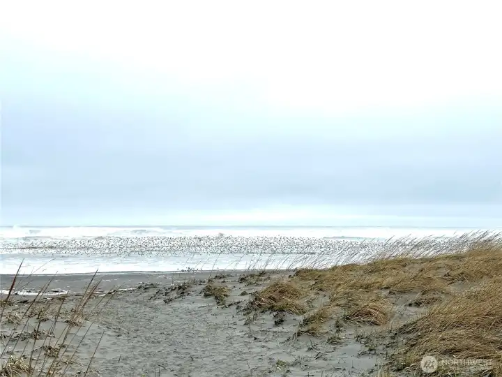 Beach Acces