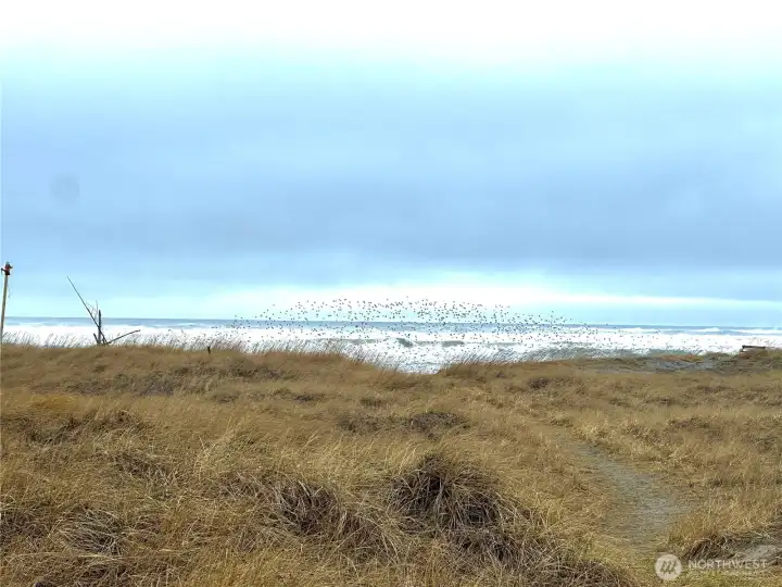 Beach access