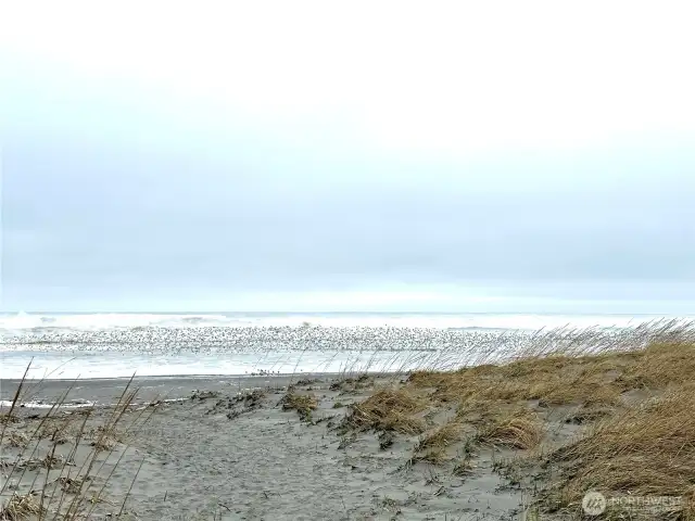 Beach Acces