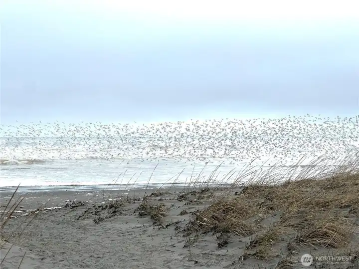 beach access