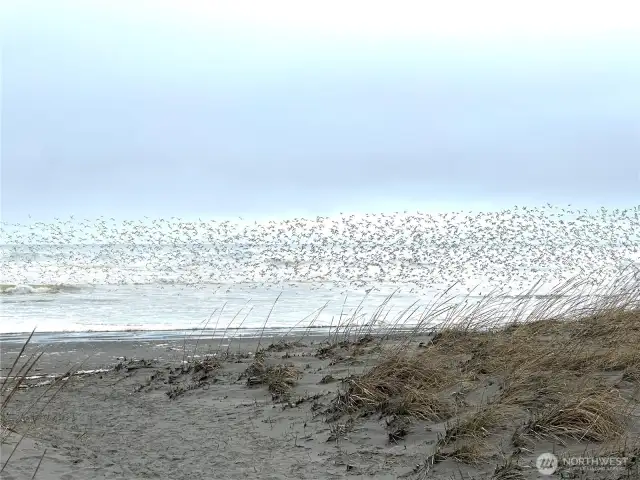 beach access