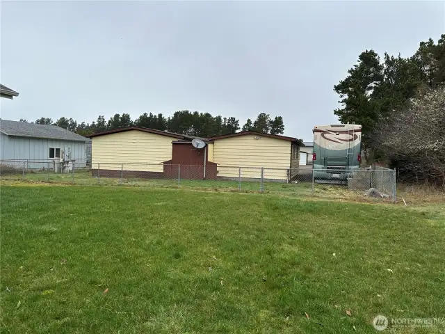 Back yard