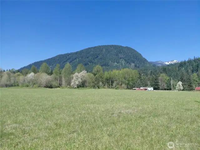 Northwest View
