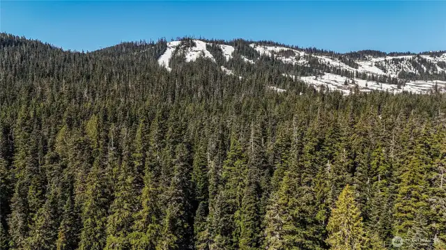 Silver Fir & Summit Central in background. Skiing crossover trails connect with Hyak/Summit East. (Aerial shot from directly above lot)