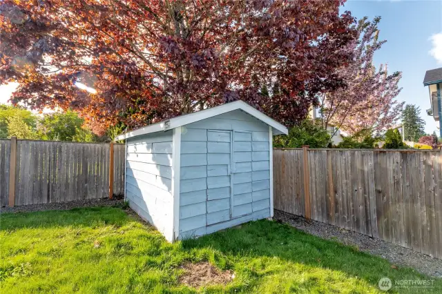 Backyard shed.
