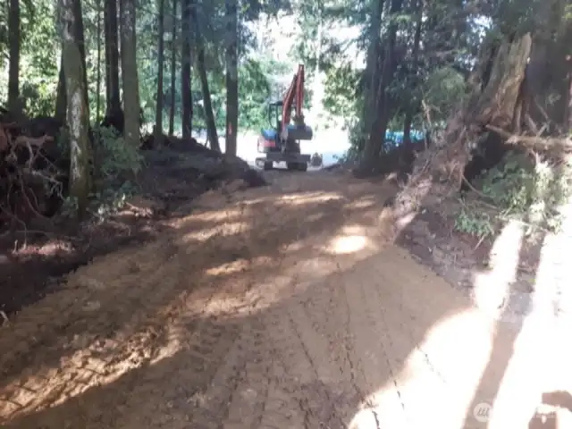 From inside the property, looking toward Robin