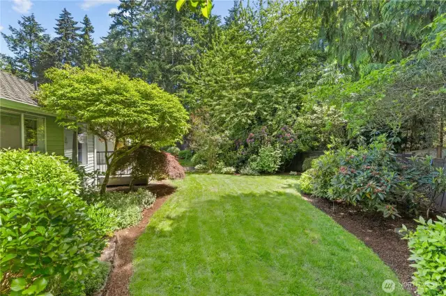 Your own green sanctuary