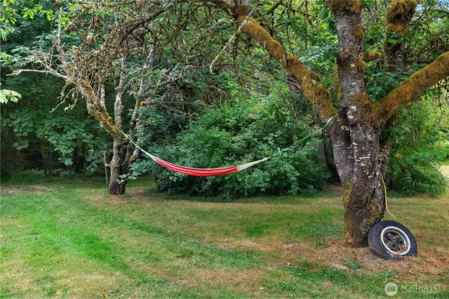 Hammock tree
