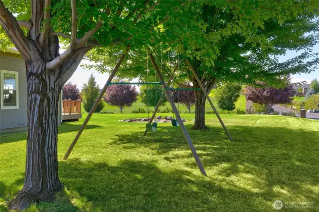 A commercial grade swing set is nestled under the shade of two Norwegian Maple trees.