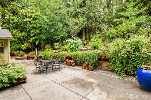 Another View of the Patio Area