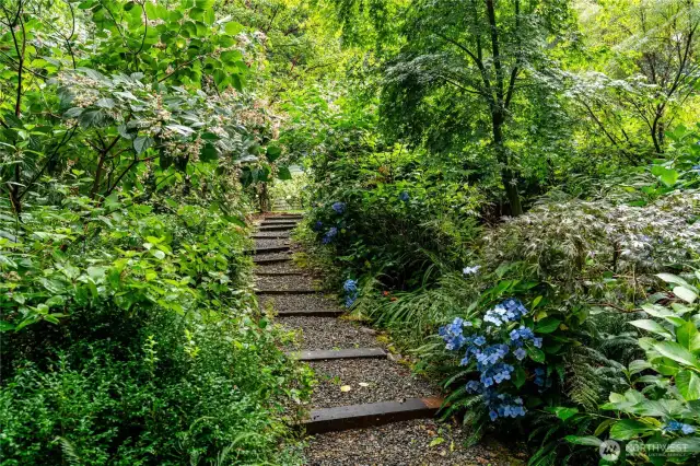 More Walking Trails
