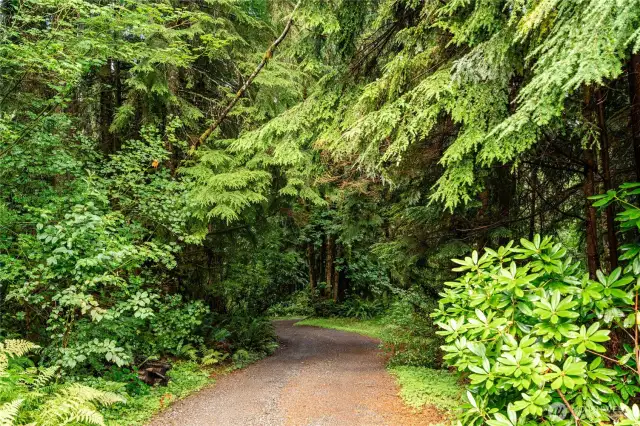 Long Private Driveway