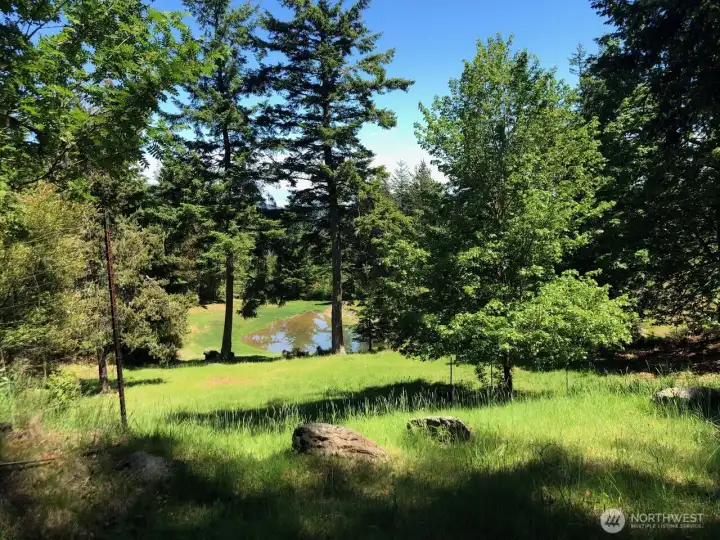Meadow and pond below the main building site.
