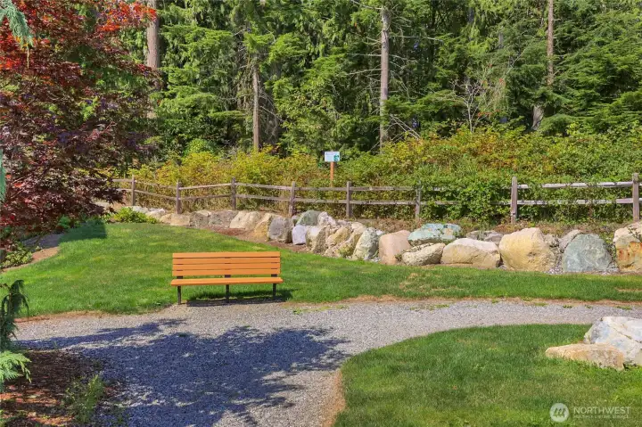 Community firepit for summer s’mores nights