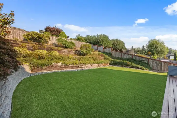Back yard