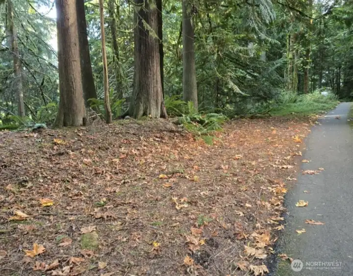 Aproximately 140 ft of frontage along shared driveway