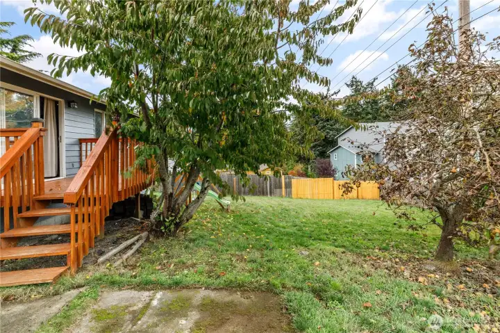 More of the fenced back yard.  Smaller swing set for fun outdoor play