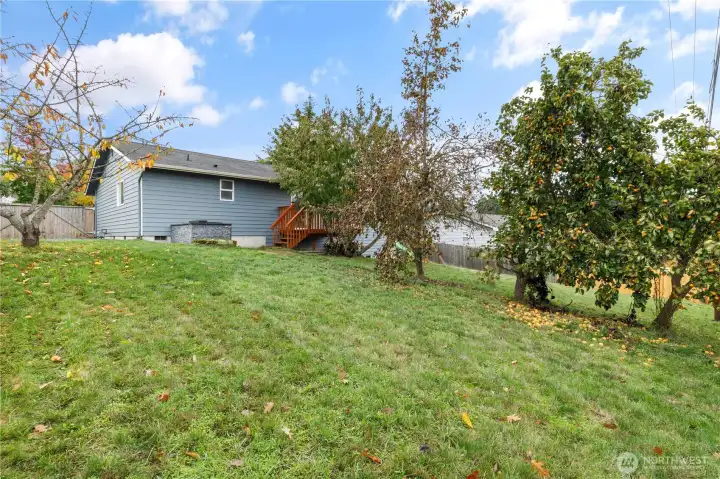 Big back yard.  Pear trees are full this time of year.