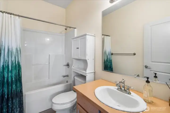 Lower level full bathroom