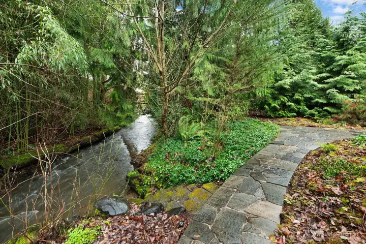 Coal Creek travels from the foothills of Issaquah to Lake Washington and is a corridor for local wildlife and birds. Watch Coho salmon and cutthroat trout spawn from in your own backyard!