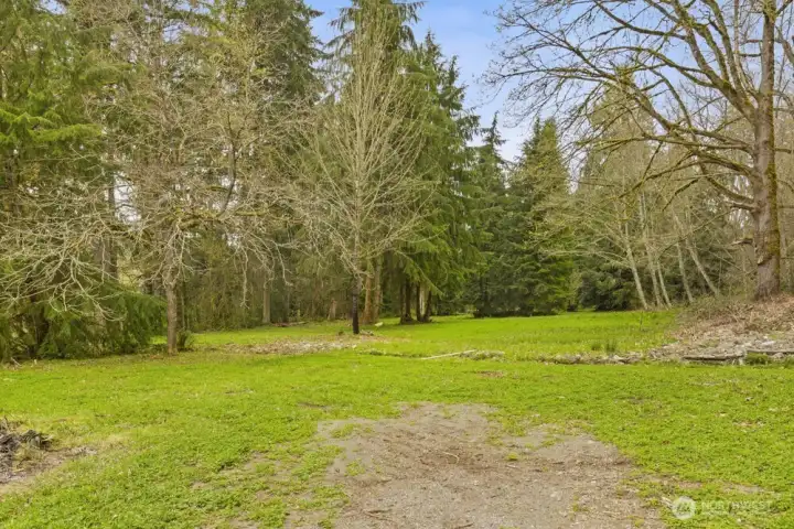 Flat, usable land ready for your vision or simply space to roam.
