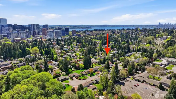 Close to downtown Bellevue!