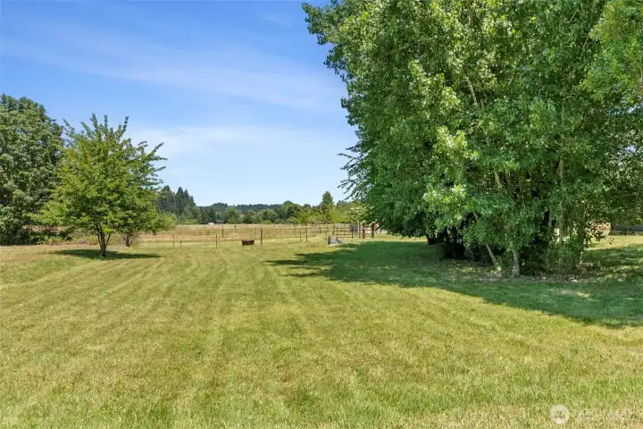 Fruit trees throughout property!