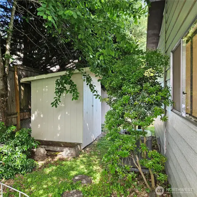 Backyard looking East towards shed