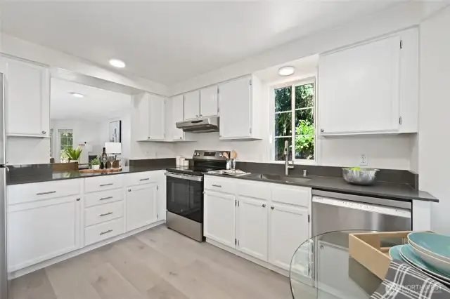 Quartz countertop and new sink & disposal