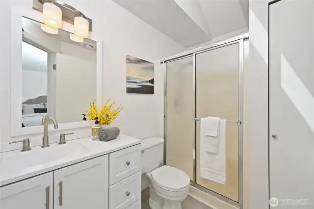 Skylight & new vanity, lights & plank floors