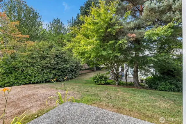 Very private exterior with Patio off Dining Room