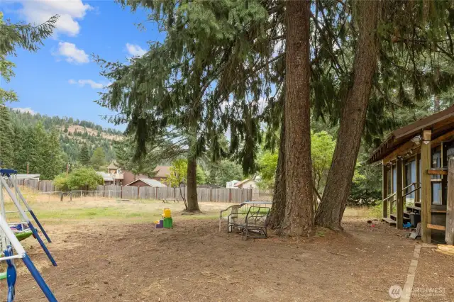 Back yard area with lots of room!